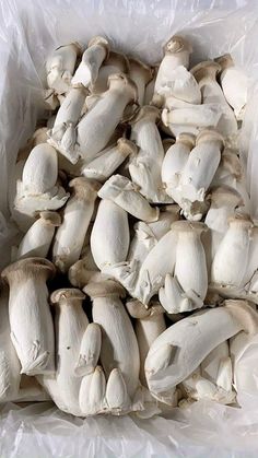 a bunch of white mushrooms sitting on top of a plastic bag filled with it's contents