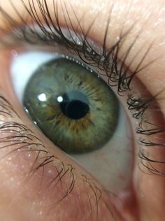 //PINTEREST: selinaa// Dark Green Eyes, Eye Facts, Beautiful Eyes Color, Charming Eyes, Clear Winter, Eye Photography, Aesthetic Eyes, Human Eye, Gorgeous Eyes