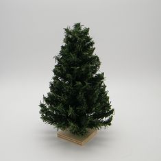 a small green christmas tree sitting on top of a wooden stand