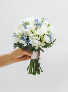 a hand holding a bouquet of white and blue flowers