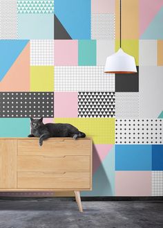 a black cat laying on top of a wooden dresser in front of a colorful wall