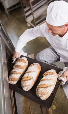 Commercial Bread Oven Bakers Oven, Different Tools, Bread Baker