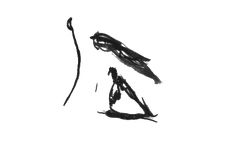 a black and white drawing of a bird on a branch