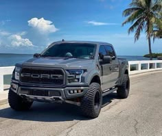 a gray truck parked on the side of a road next to the ocean and palm trees