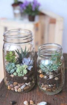 two mason jars filled with succulents and rocks on top of a wooden table