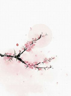 a branch with pink flowers on it against a white background and watercolor splashes