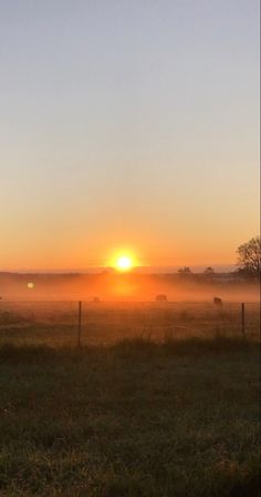 Sunrise sun beautiful early morning aesthetic nature meadow foggy Orange Sunrise Aesthetic, Foggy Meadow, Meadow Sunset, Orange Sunrise, Sunrise Nature, Sunrise Wallpaper, Sunrise Pictures