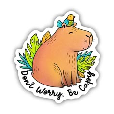 a sticker with the words don't worry be careful in front of a cartoon bear