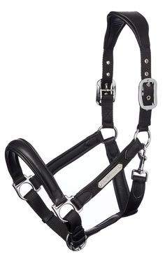 a black leather bridle with silver hardwares