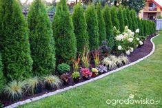 a garden filled with lots of different types of plants and trees in front of a house