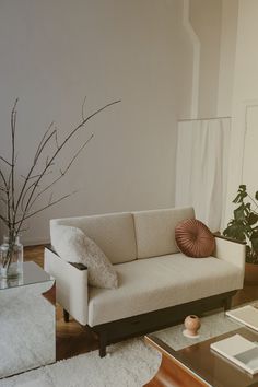 a living room with a couch, coffee table and plants