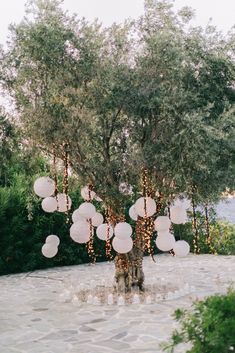 an outdoor wedding setup with balloons and string lights on the tree trunk, surrounded by greenery