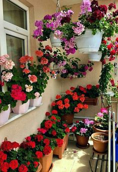 many potted flowers hanging from the side of a building