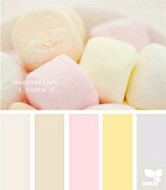 marshmallows in pastel colors on a white background