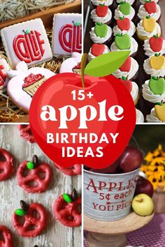 apple themed birthday ideas for kids and adults