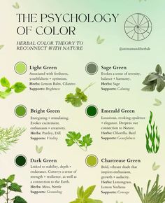 an info sheet describing the different types of plants