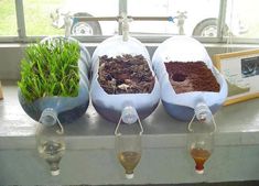 three planters filled with dirt and grass sitting on top of a window sill