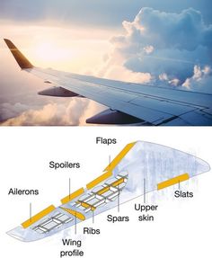 an airplane wing is shown with different parts labeled in the bottom and bottom view below