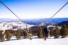 two people riding on skis while holding onto the wires above them are pine trees