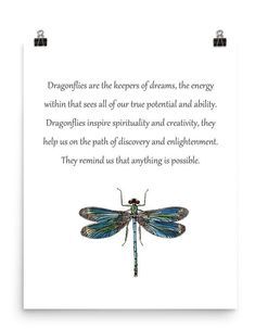 a blue and black dragonfly with a poem written on it's back side