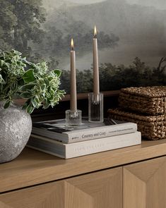 two candles sitting on top of books next to a potted plant and wallpaper