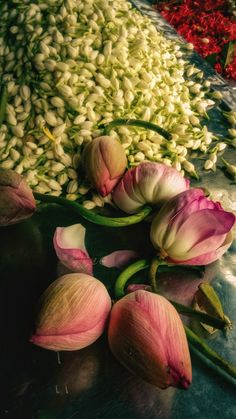 some flowers are laying on the ground next to other flowers and petals, including tulips