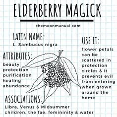 the elderberry magick recipe is shown on a piece of paper with words below it