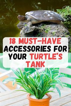 Transform your turtle's tank with these 18 must-have accessories! We highlight essentials like UVB lighting for health, effective filtration systems, and comfortable basking spots. Additionally, discover decorative items such as safe plants and substrates that not only look great but also provide environmental enrichment for your turtle. Turtle Enrichment, Pet Turtle Tank, Indoor Turtle Pond, Turtle Tank Setup Ideas, Turtle Tank Ideas, Turtle Tanks, Turtle Basking Platform