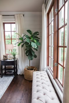 a living room filled with furniture and a potted plant on top of a window sill