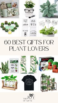 the best gifts for plant lovers are on display in this postcard style photo collage