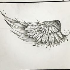 a drawing of an angel wing on paper