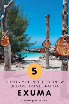 Ready for a tropical escape? Look no further than Exuma! But before you step on the plane, there are 5 things you need to know before traveling to this stunning island. From transportation to renting a car or boat, we've got you covered. So why wait? Head to our website now to start planning your dream vacation in Exuma. Bahamas Family Vacation, Bahamas Pigs, Caribbean Islands Vacation, Tropical Paradise Beach, Exuma Island, Abaco Bahamas, Pig Beach, Great Exuma