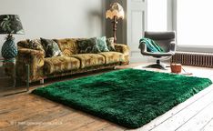 a living room filled with furniture and a green rug on top of a hard wood floor