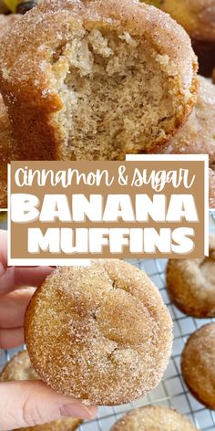 The best banana muffin recipe with cinnamon & sugar topping. Banana Bread With Two Bananas Recipes, Banana Muffins Cinnamon, Quick Banana Bread Muffins, Cinnamon Banana Recipes, Overripe Banana Recipes Simple, Extra Banana Recipes, One Banana Muffin Recipe, Recipes With Lots Of Bananas, Recipes For 3 Bananas