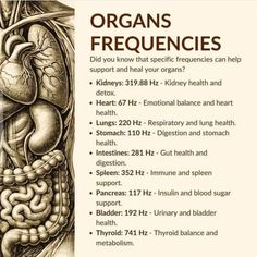 Bruce Lipton, Frequency Healing, Gregg Braden, Joe Dispenza, Herbal Healing, Healing Frequencies, Kidney Health, Hormone Health