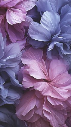 many pink and blue flowers are in close up view, with one large flower at the center