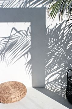 a wicker basket sitting next to a palm tree on a white wall with shadow