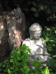 a buddha statue sitting next to a tree