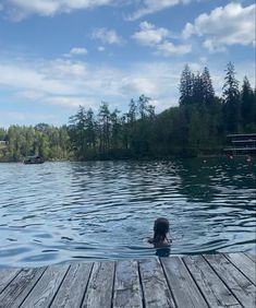 a dog is swimming in the water near a dock