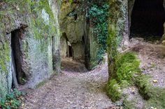 an old stone tunnel with moss growing on the walls and dirt path leading to it