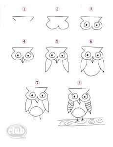 how to draw an owl with four different eyes and five different head shapes for each one