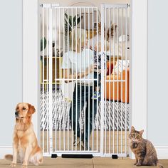 P300 71 Inch Extra Tall Cat Pet Gate Baby Gate Adjustable 29.13" and 45.63" Wide Pressure Mounted Walk Through Swing Safety Pet Gates Child Gate for Stairs, Doorway, House (White, 71 Inch) 【71" EXTRA TALL DOG GATE】 Gate stands 71 Inch tall for added security, which is much taller than most extra tall cat gates available on the market, thus effectively preventing pet cats from jumping out. Suitable for families with strong jumping ability and pets of different sizes. 【ULTRA-DENSE PIPE SPACING】The Child Gates For Stairs, Pocket Door Pet Gate, Dog Gates Indoor Clear, Pocket Dog Gates Indoor, Sliding Dog Gates Indoor Metal, Child Gate, Toddler Gate, Tall Pet Gate, Extra Tall Pet Gate