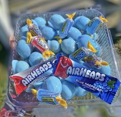 some blue eggs are in a plastic container with candy bar wrappers on top and one is white