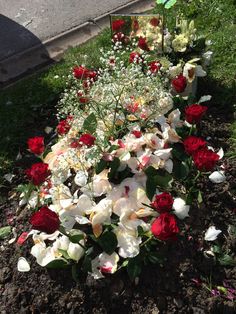 red and white flowers in the middle of a patch of dirt next to a street