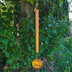 a wind chime hanging from the side of a tree in front of some bushes