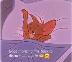 a cartoon cat laying in bed with the caption good morning i'm back to disturb you again