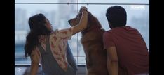 a man and woman petting a dog in front of a large window with cityscape behind them