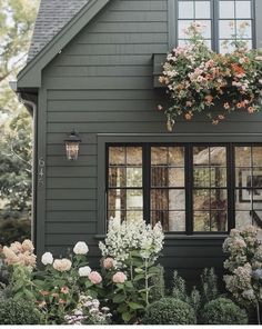 a gray house with flowers in the window boxes