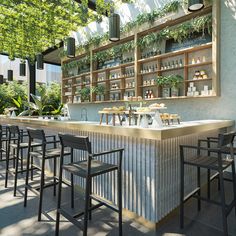 an outdoor bar with lots of chairs and plants on the back wall, along with shelves full of bottles