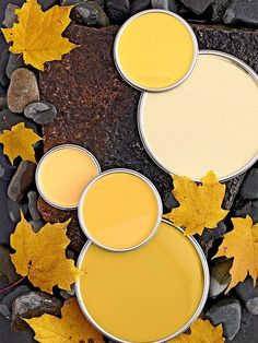 three paint cans sitting on top of rocks with leaves around them and one is yellow